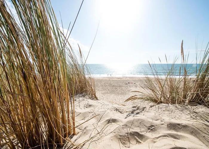 Hotel Villages Clubs Du Soleil - Les Bains Ronce-les-Bains